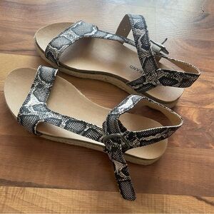 Lucky Brand Women's Snake Print Sandals 7.5